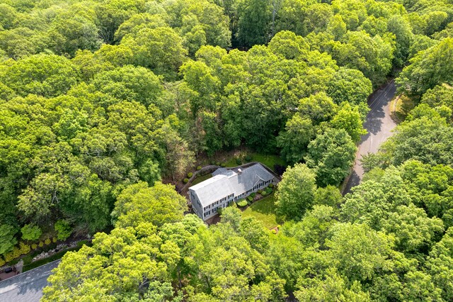 35 Whitethorn Dr, Guilford, CT 06437 - view from above of property featuring a heavily wooded area