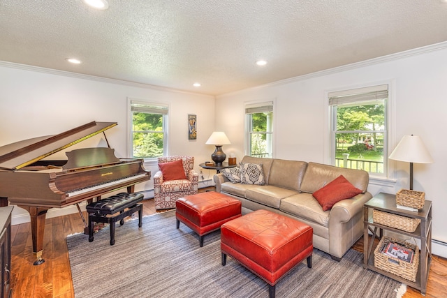 47 Davis Rd, Mansfield, CT 06268 - living area featuring crown molding, wood finished floors, recessed lighting, and a textured ceiling