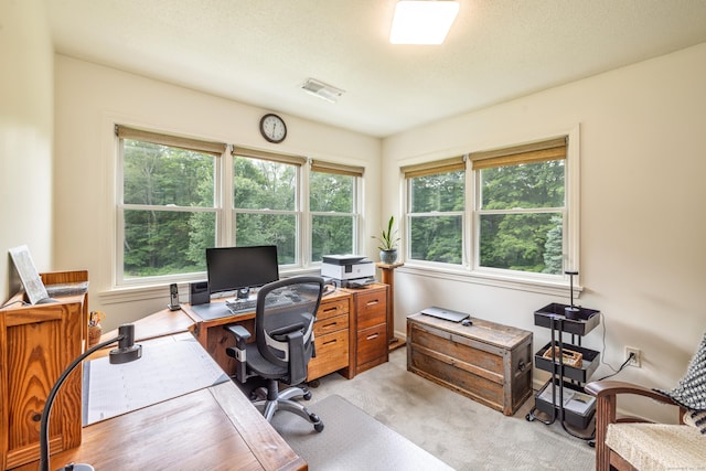 47 Davis Rd, Mansfield, CT 06268 - office area with light colored carpet and plenty of natural light
