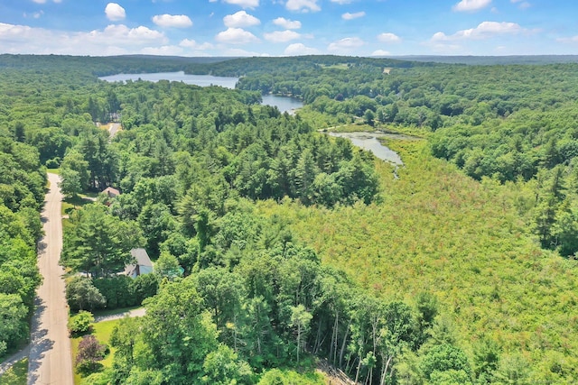 39 Briarwood Dr, Colchester, CT 06415 - photo 5