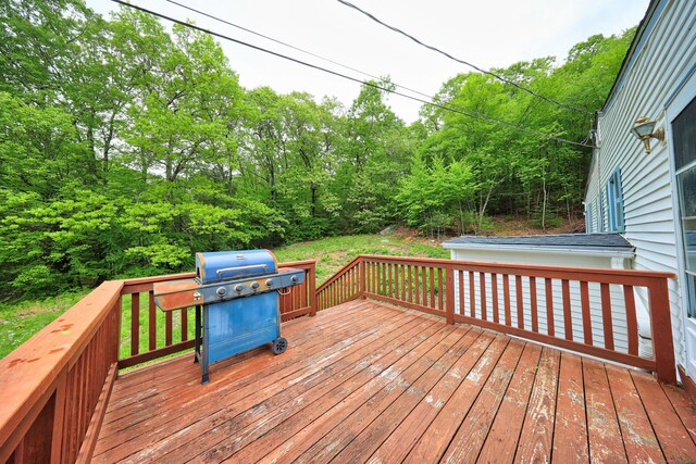 13 Deepwood Dr, Stafford, CT 06076 - photo 36
