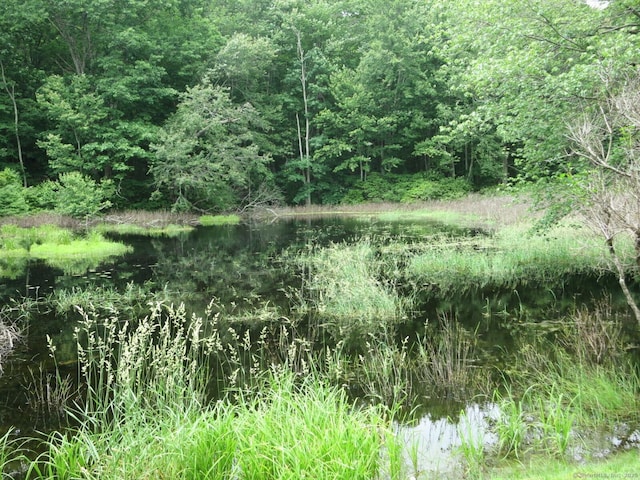 21 Lebanon Rd, Hebron, CT 06231 - photo 5