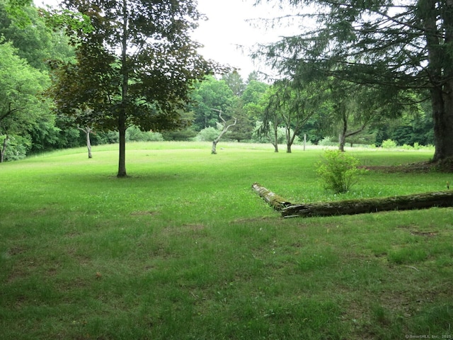 21 Lebanon Rd, Hebron, CT 06231 - photo 30