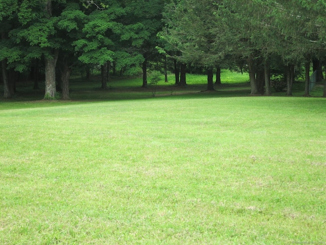21 Lebanon Rd, Hebron, CT 06231 - photo 29