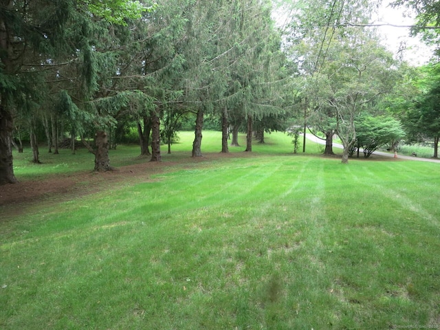 21 Lebanon Rd, Hebron, CT 06231 - photo 19