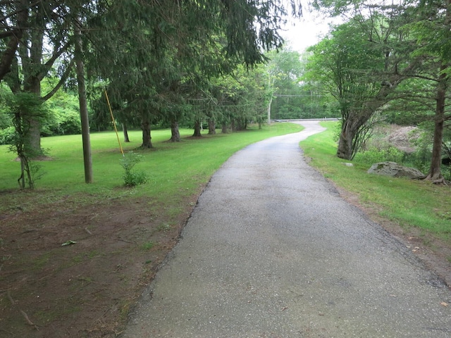 21 Lebanon Rd, Hebron, CT 06231 - photo 18