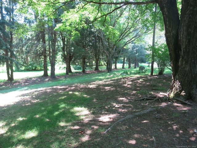 21 Lebanon Rd, Hebron, CT 06231 - photo 23