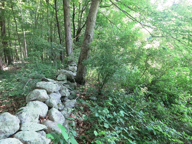 21 Lebanon Rd, Hebron, CT 06231 - photo 31