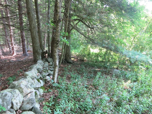 21 Lebanon Rd, Hebron, CT 06231 - photo 33