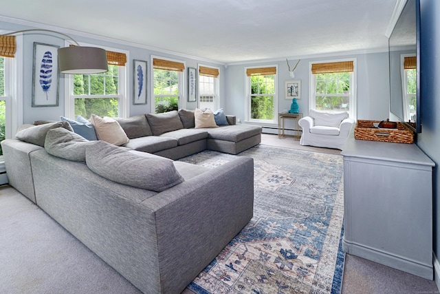29 Bayberry Rd, Fairfield, CT 06825 - living area featuring crown molding, a baseboard heating unit, and carpet
