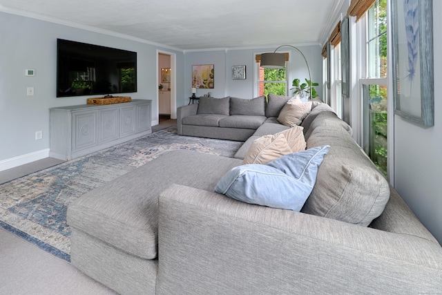 29 Bayberry Rd, Fairfield, CT 06825 - living room with plenty of natural light, ornamental molding, and carpet