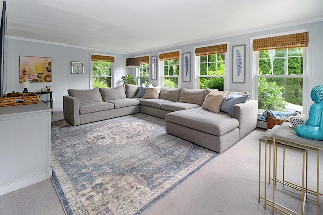 29 Bayberry Rd, Fairfield, CT 06825 - carpeted living area with ornamental molding
