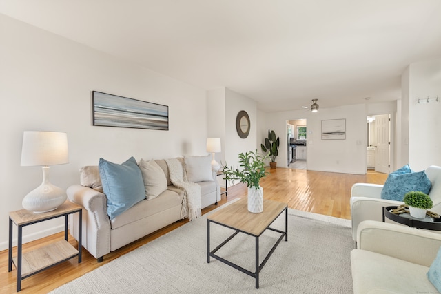 75 Brittania Rd Unit 75, Danbury, CT 06811 - living room with light wood finished floors, ceiling fan, and baseboards
