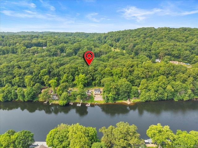 2 Round Hill Rd, Shelton, CT 06484 - view of property location with a forest and a large body of water
