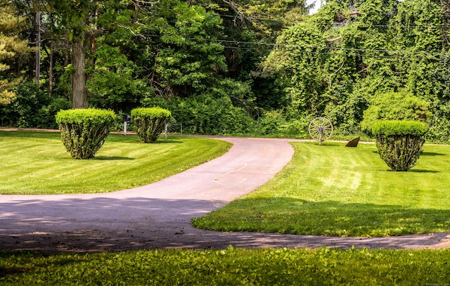 126 Christain Hill Rd, Dover, NY 12522 - view of community with a lawn