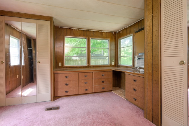 126 Christain Hill Rd, Dover, NY 12522 - unfurnished office with light carpet and wooden walls