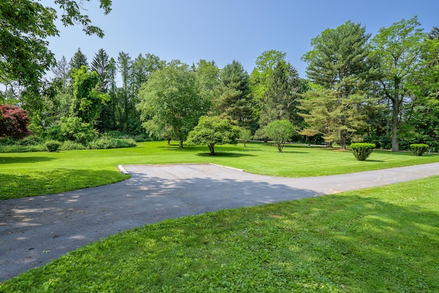 126 Christain Hill Rd, Dover, NY 12522 - surrounding community featuring a lawn and view of scattered trees