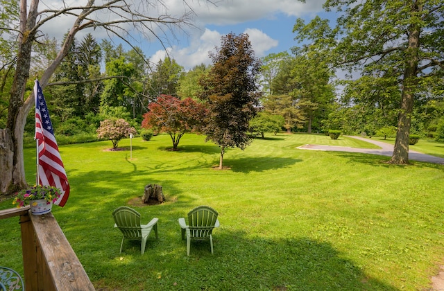 126 Christain Hill Rd, Dover, NY 12522 - view of green lawn
