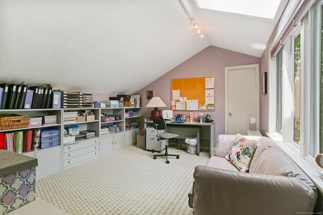 8 Hedgerow Cmn, Weston, CT 06883 - office space featuring rail lighting, lofted ceiling, carpet floors, and a skylight