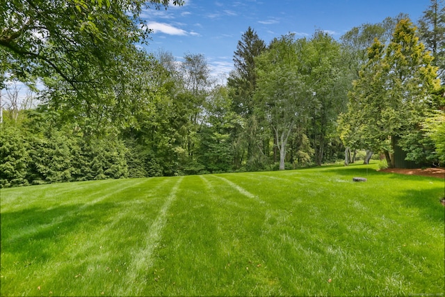 8 Hedgerow Cmn, Weston, CT 06883 - view of green lawn