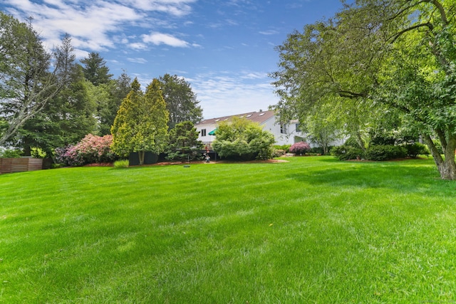 8 Hedgerow Cmn, Weston, CT 06883 - view of green lawn