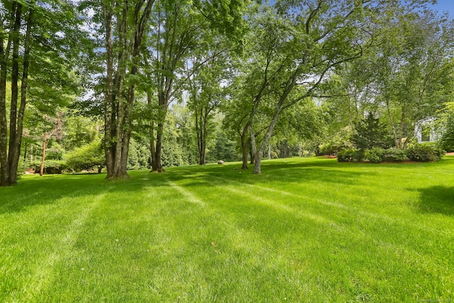 8 Hedgerow Cmn, Weston, CT 06883 - view of green lawn