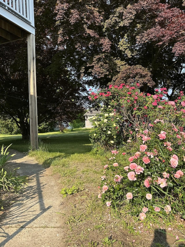 189 N Main St, Griswold, CT 06351 - view of yard