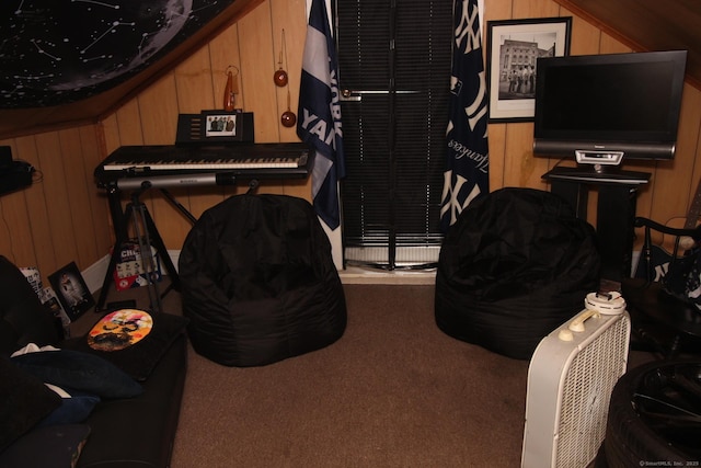 87 Hayden St, Windham, CT 06226 - interior space with carpet floors and wood walls