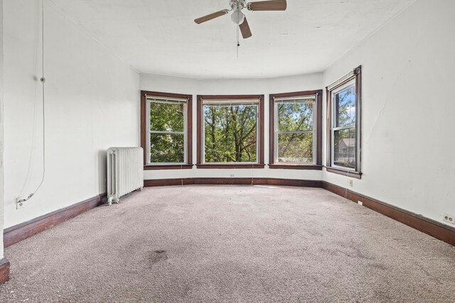 69 Seymour Ave, Derby, CT 06418 - photo 27