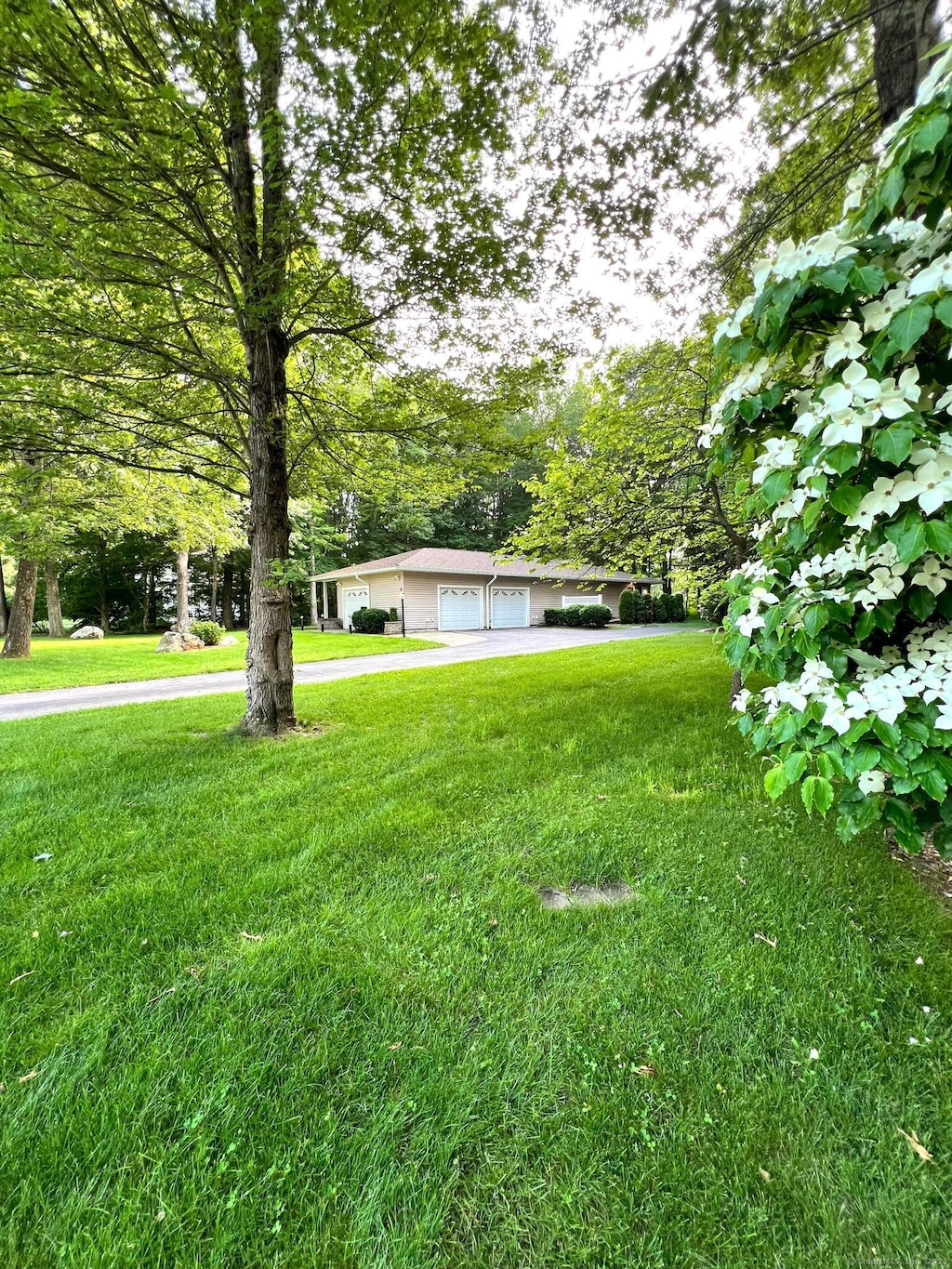 view of front of property with a front lawn and driveway