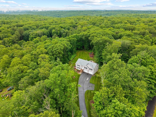 43 Old Young St, East Hampton, CT 06424 - drone / aerial view of a forest