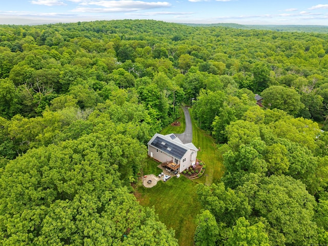 43 Old Young St, East Hampton, CT 06424 - aerial view of a heavily wooded area