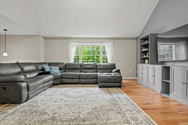 43 Old Young St, East Hampton, CT 06424 - living area featuring light wood-type flooring, lofted ceiling, and built in shelves