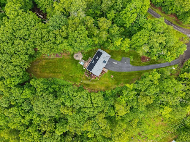 43 Old Young St, East Hampton, CT 06424 - view from above of property