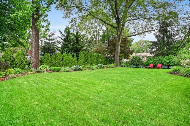 86 Lorma Ave, Trumbull, CT 06611 - view of grassy yard