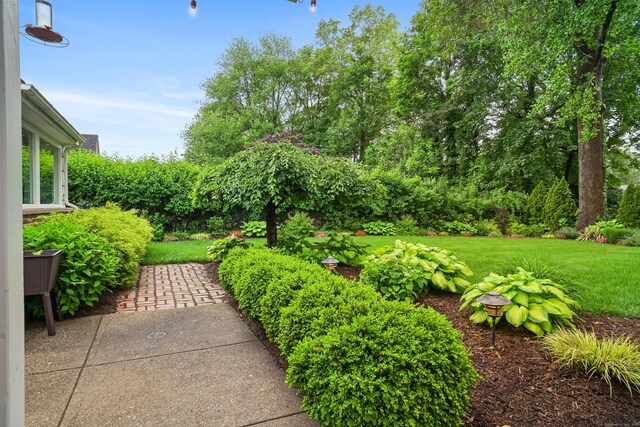 86 Lorma Ave, Trumbull, CT 06611 - view of green lawn featuring a patio