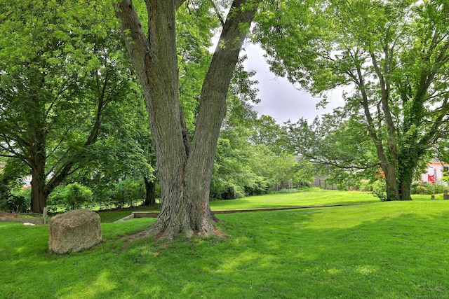 51 Crestwood Rd, Milford, CT 06460 - view of green lawn