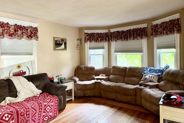 451 Robbins Ave, Newington, CT 06111 - living room with hardwood / wood-style floors and a textured ceiling