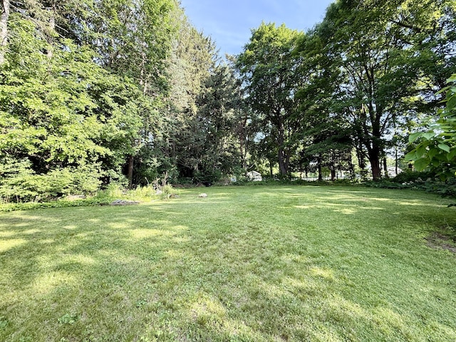 451 Robbins Ave, Newington, CT 06111 - view of green lawn