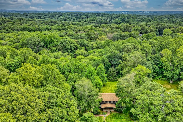136 Wheeler Rd, Monroe, CT 06468 - aerial view of a heavily wooded area