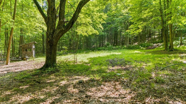 408 Stage Coach Rd, Durham, CT 06422 - view of yard with a storage unit and a view of trees