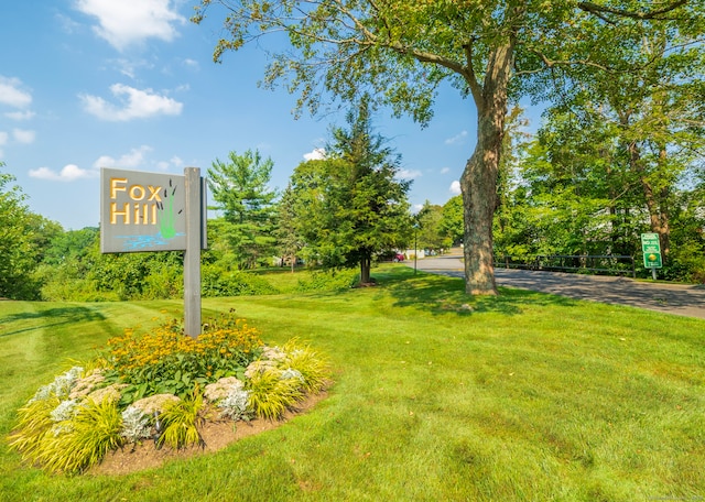 3 Orange Ln Unit 3, Ridgefield, CT 06877 - view of green lawn with view of wooded area