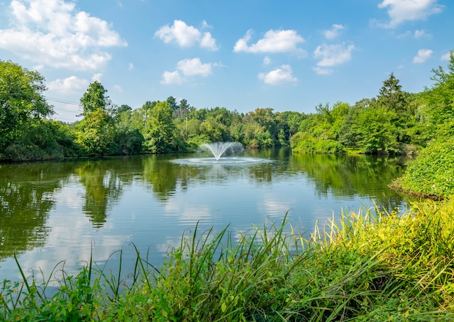 3 Orange Ln Unit 3, Ridgefield, CT 06877 - water view featuring a forest