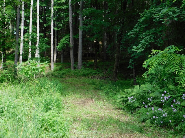 215 Taconic Rd, Salisbury, CT 06068
