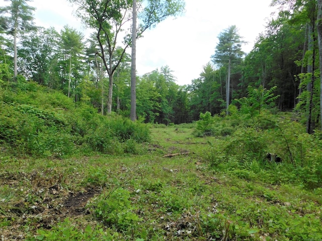 215 Taconic Rd, Salisbury, CT 06068