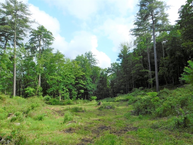 215 Taconic Rd, Salisbury, CT 06068