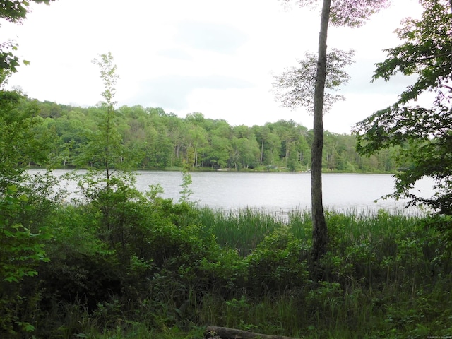 215 Taconic Rd, Salisbury, CT 06068