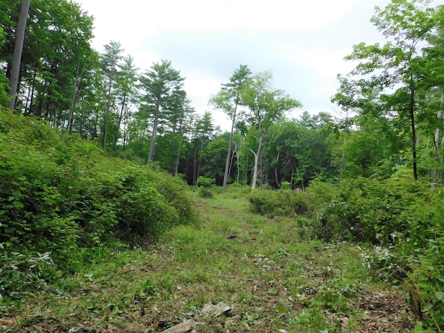 215 Taconic Rd, Salisbury, CT 06068