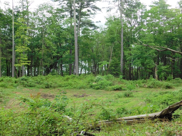 215 Taconic Rd, Salisbury, CT 06068