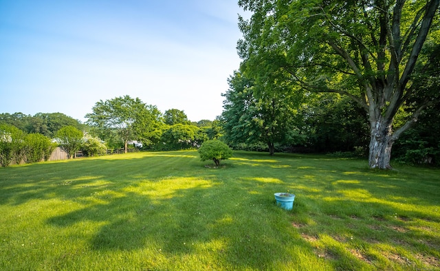 895 W Woods Rd, Hamden, CT 06518 - view of grassy yard